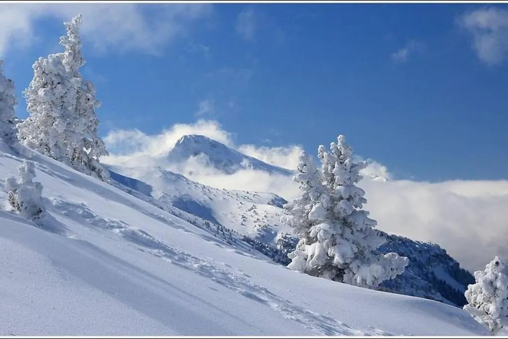 Studio Cosy Au Coeur Du Village Pour 4 Personnes Lans-en-Vercors 0*,
